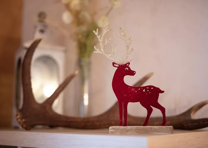 Dans Chalet, Coeur De Megève